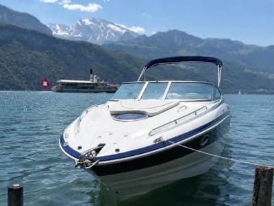 Crownline 26 Day Cruiser 2