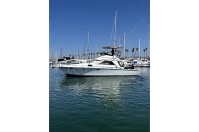 1990 Trojan International 12 Meter Convertible 2