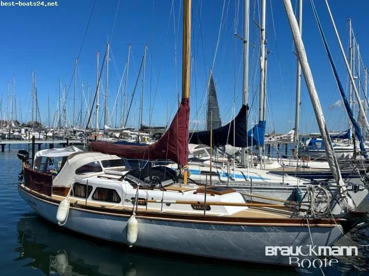 Delphin 66
