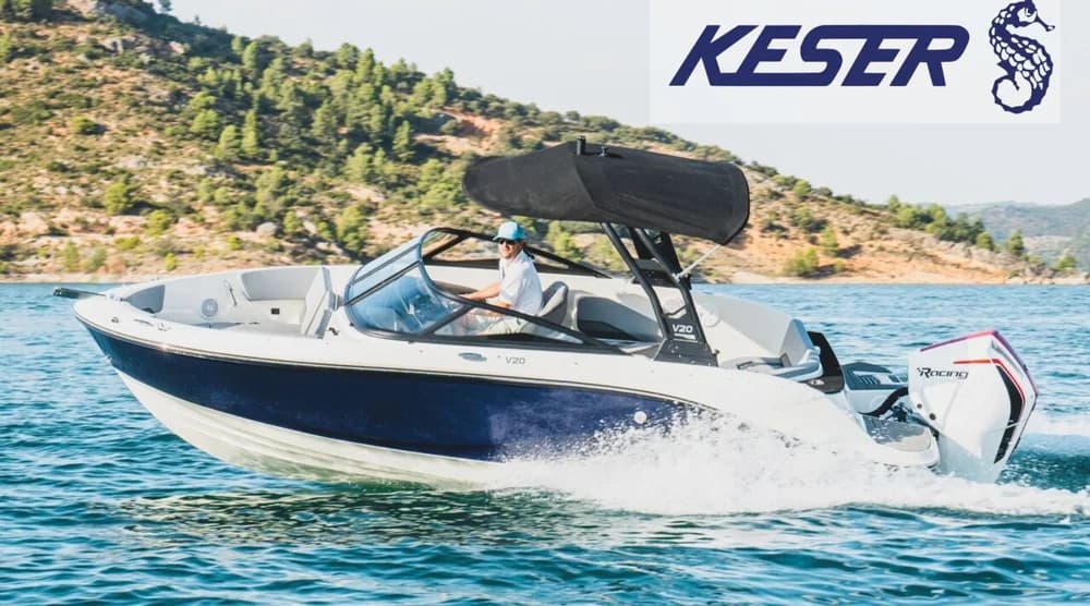 Bayliner V20