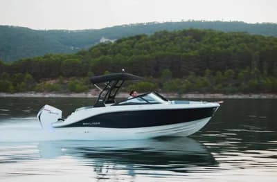 Bayliner V20 2