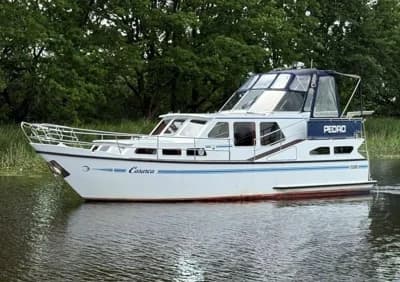 Pedro 37 2