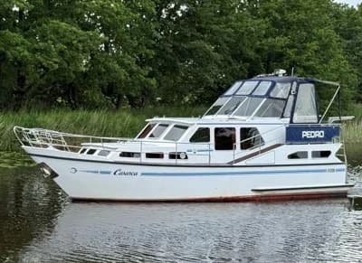 Pedro 37 3