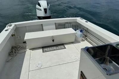 2020 Rosborough RF-246 Custom Wheelhouse | 24 ft 3