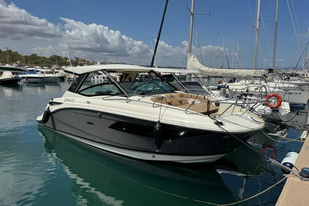 2020 Sea Ray Sundancer 320 | 10m