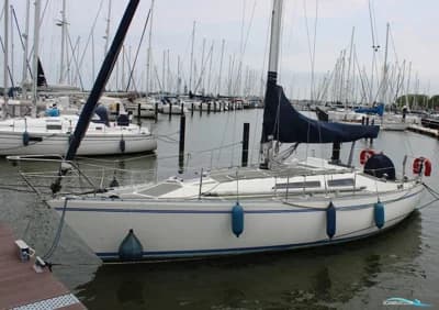 Colvic Liberator 35 2