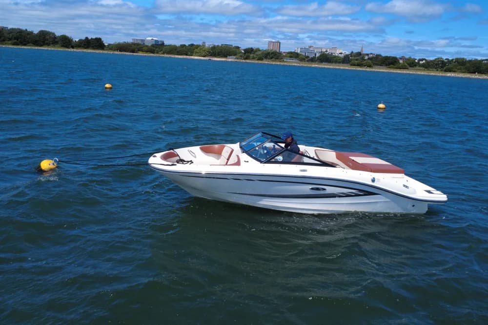 2015 Sea Ray 19 SPX | 19.5 ft