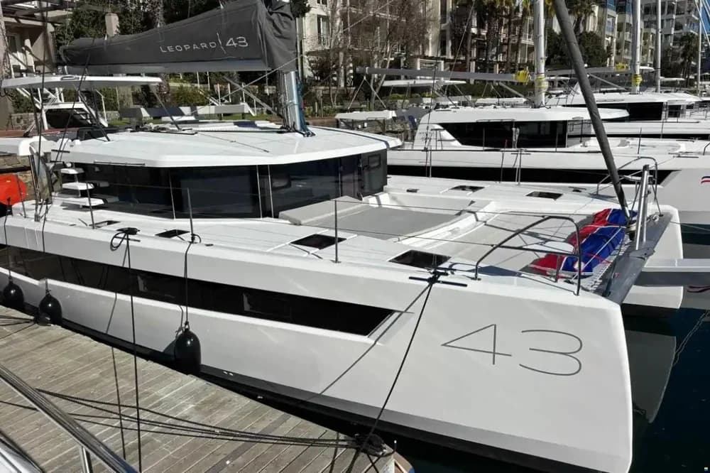 Leopard 43