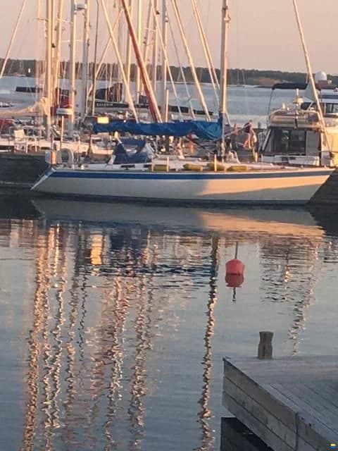 Wauquiez Centurion 38