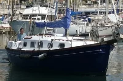 Myabca Delfin 31 2