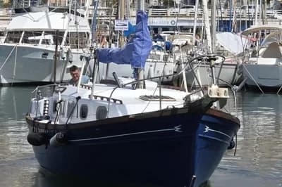 Myabca Delfin 31 3