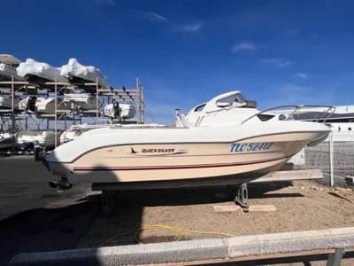 2004 Quicksilver 650 Cruiser 2