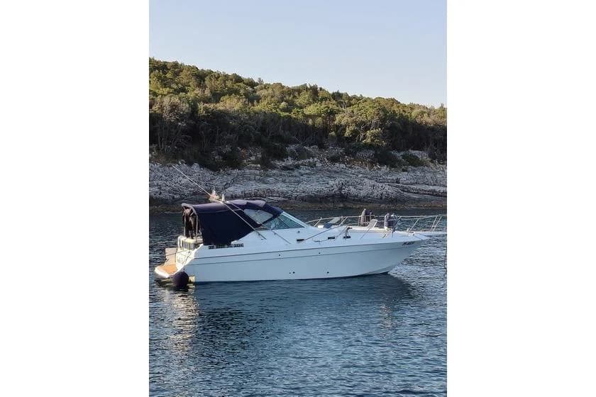 1990 Custom CHRIS CRAFT AMEROSPORT 28,4