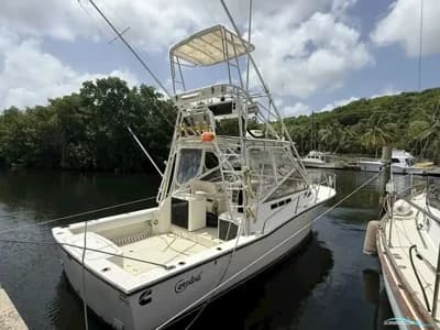 Carolina Skiff Classic 28 2
