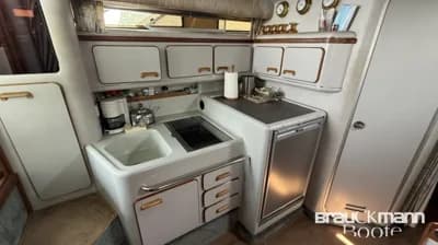 Sea Ray 310 DA 3