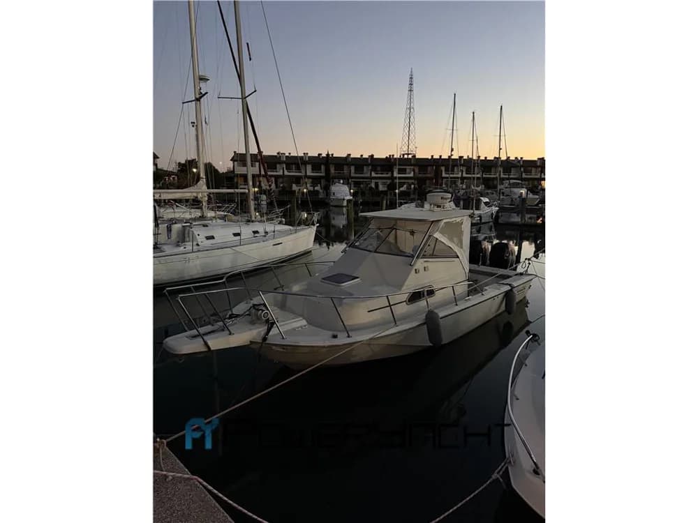 BOSTON WHALER - 25 WA