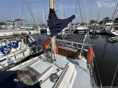 Neptune 33 2