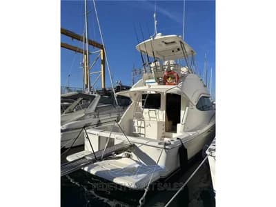 Riviera Marine - 37 Flybridge 2