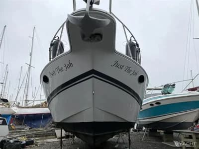 Chris-Craft Crowne 322 2
