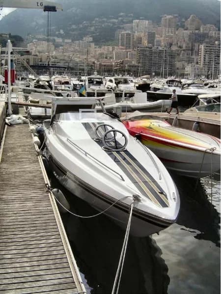 Monte Carlo 46