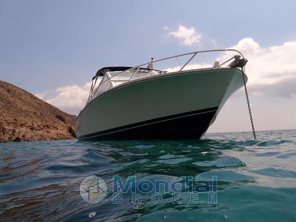 Bertram Yacht - 28 Moppie
