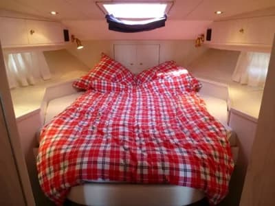 Neptunus 145 Fly 3