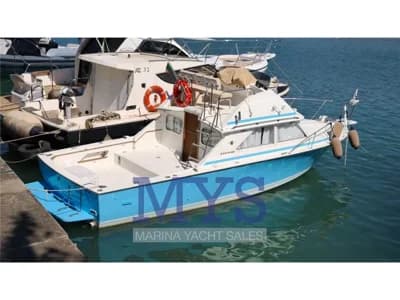 Bertram - 28 Flybridge 2