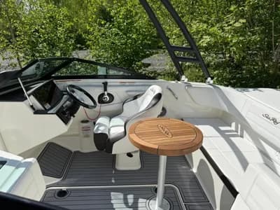 2019 Sea Ray SPX 190 Boat for Sale in Ambleside 4