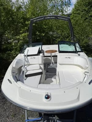 2019 Sea Ray SPX 190 Boat for Sale in Ambleside 5