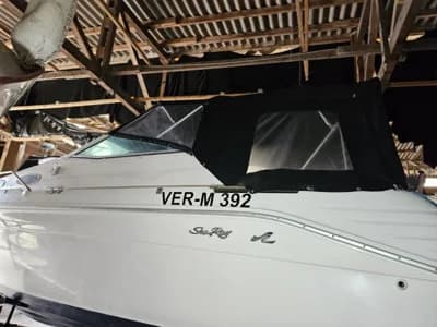 Sea Ray 250 Express Cruiser 3