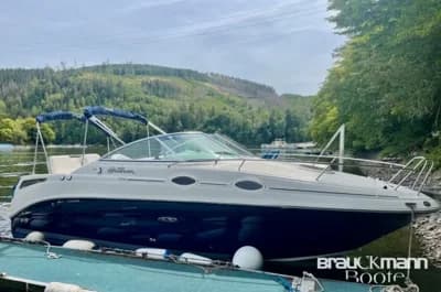 Sea Ray 255 DAE 2