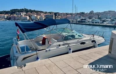 Sea Ray 255 DAE 3