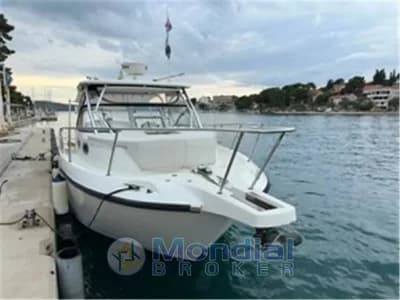 Boston Whaler - BOSTON 305 CONQUEST 2