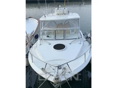 Sea Fox - 256 wa pro series 2