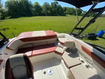 Sea Ray SPX 190 3