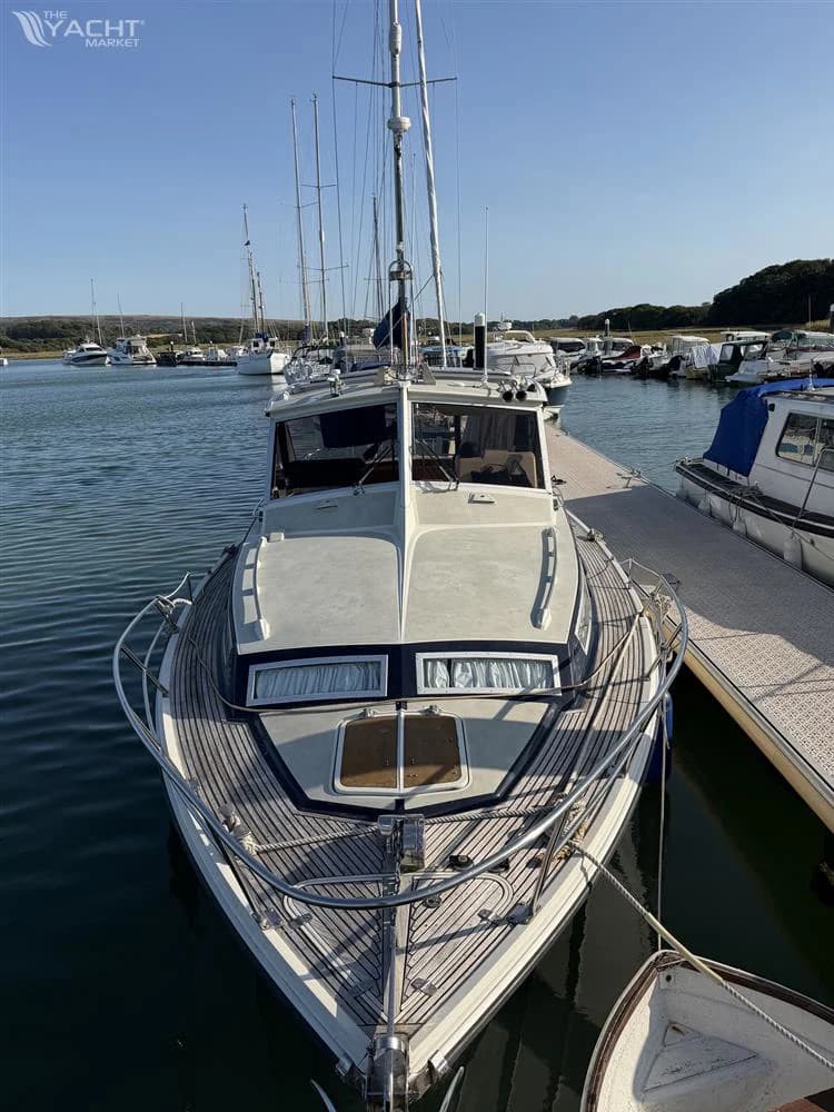 Levi Triana Tantarella 35