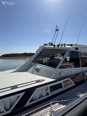 Levi Triana Tantarella 35 2