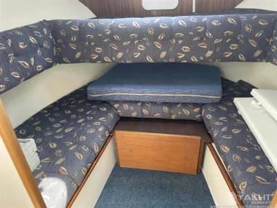 Viksund 260 St Cruz 2