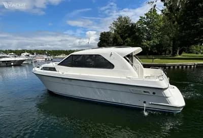 Renaissance 31 2