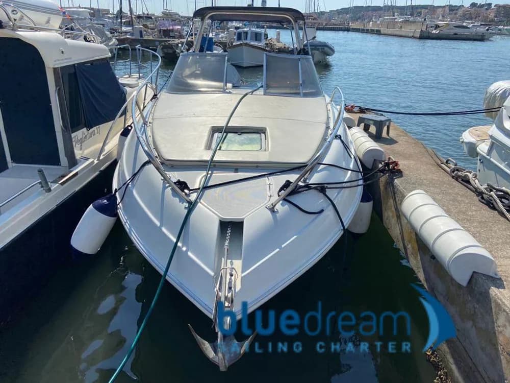 Fiart Mare - 28 genius