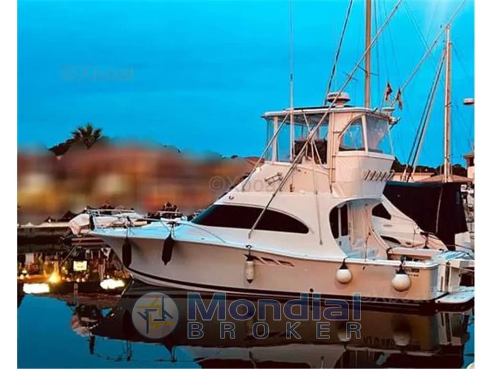 Luhrs - 36 convertible