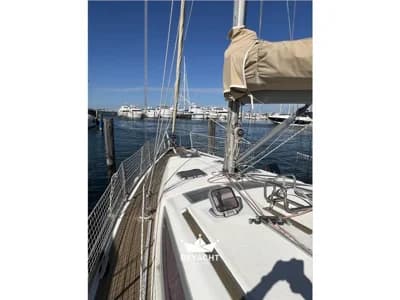 Alliaura Marine - 39 3