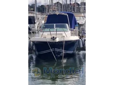Kelt - White shark 237 3