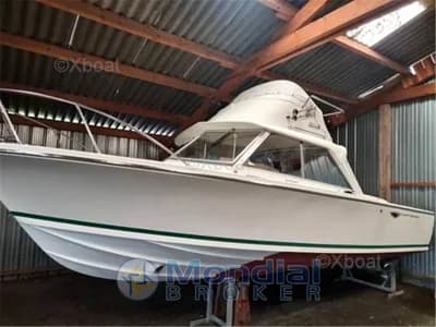 Bertram - Riva 25 sport fisherman 2