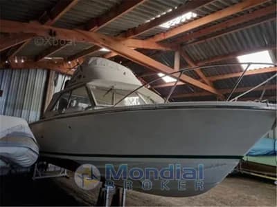 Bertram - Riva 25 sport fisherman 3