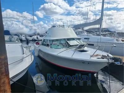 Riva bertram - 25 sport fisherman 2