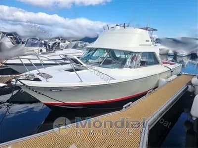 Riva bertram - 25 sport fisherman 3