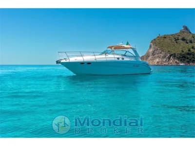 SEA RAY - 455 3