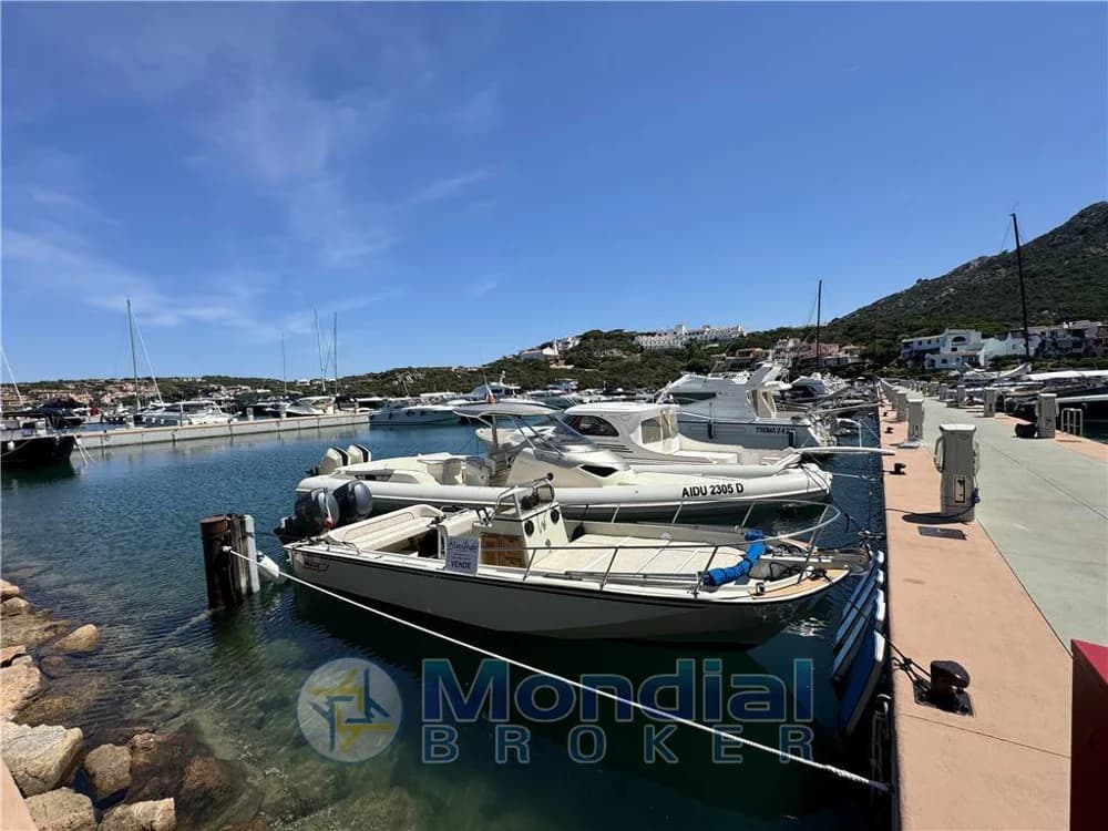 Maxitender Boston Whaler - Outrage 25