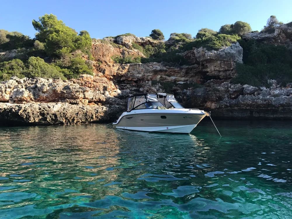 2017 Sea Ray Sun Sport 250 | 8m
